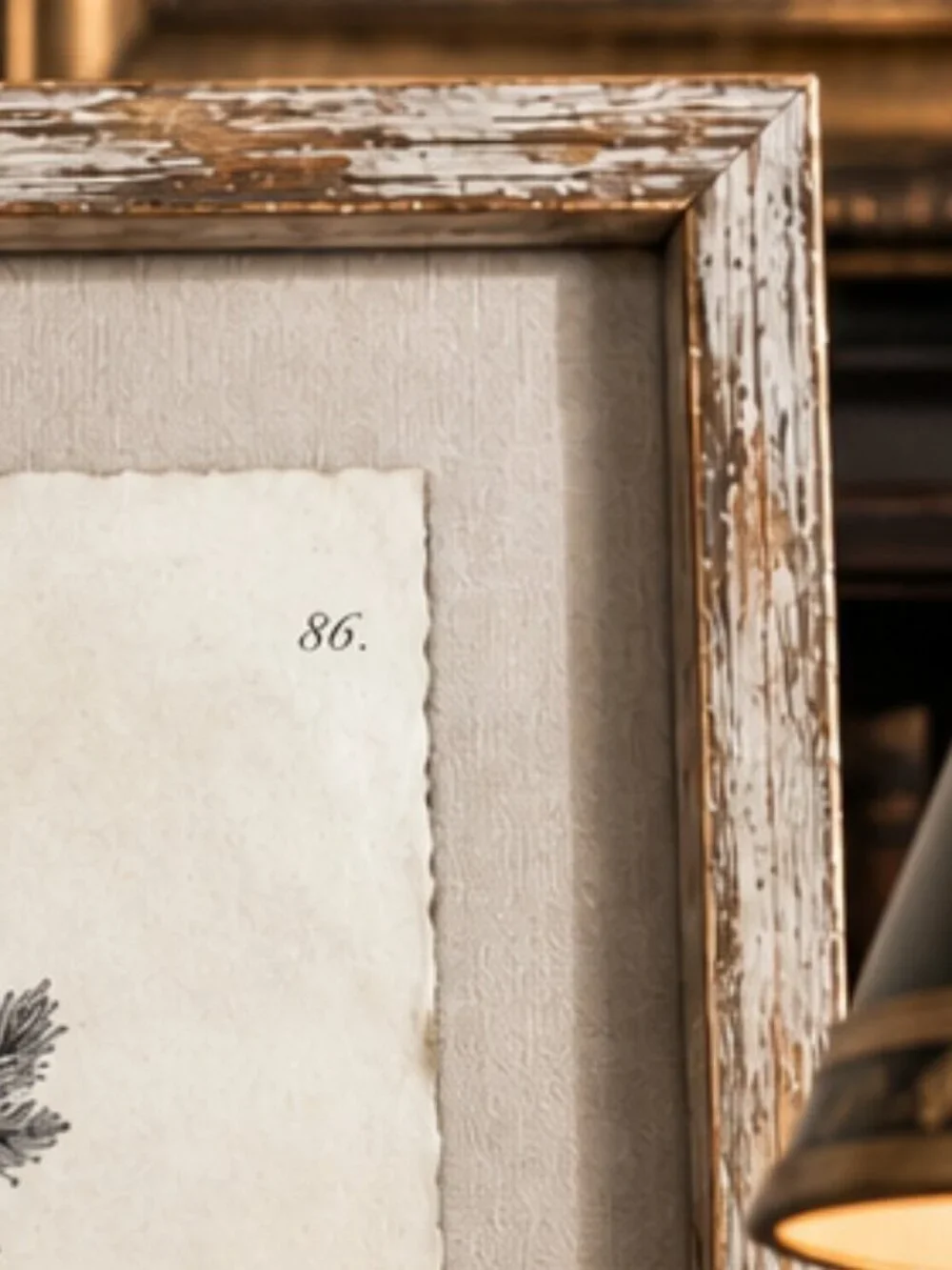 Vintage Framed Fraxinus Ornus Botanical Sepia Print Medical Botany Art